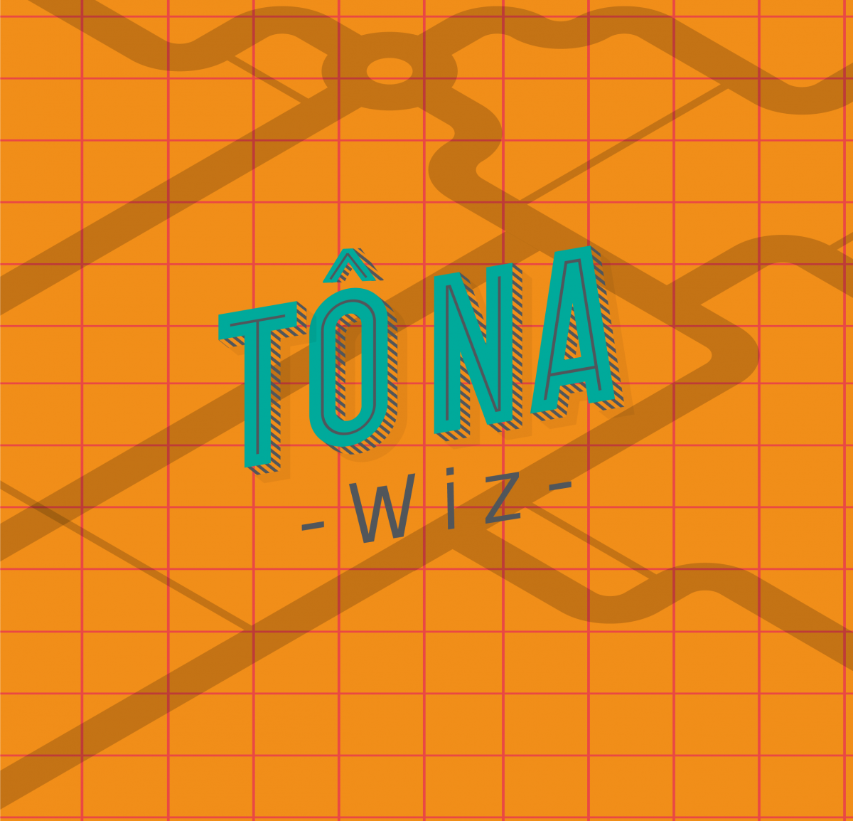 Tô na Wiz!