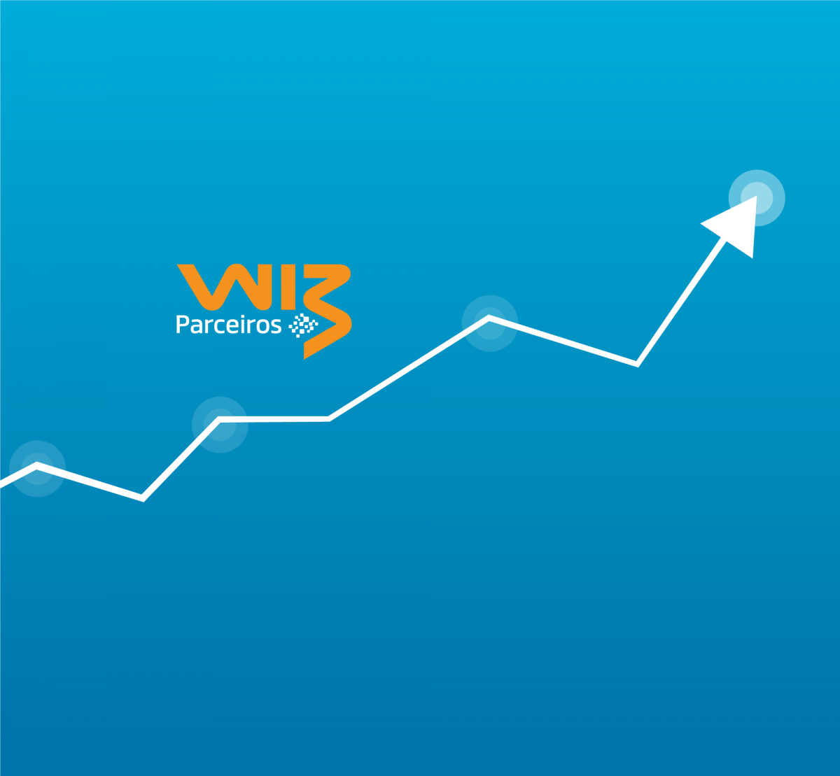 Desempenho 2019 | Wiz Parceiros