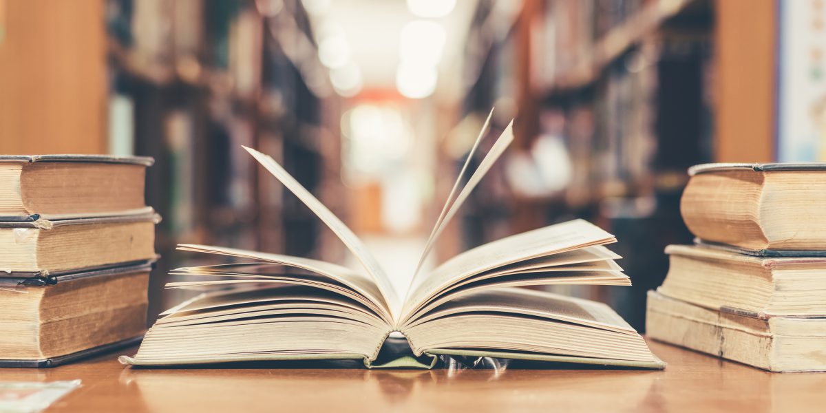 Livros? Gostamos! | Dia Nacional do Livro!